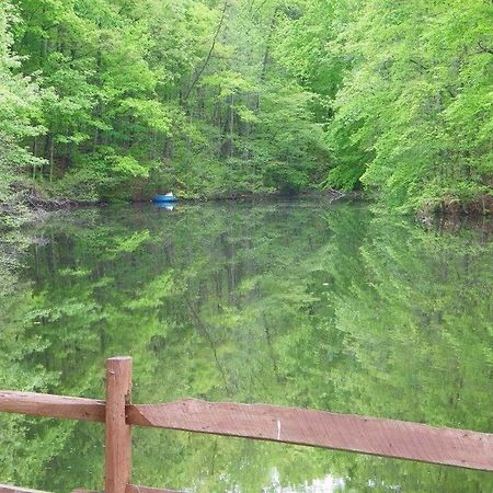 Lake Myers Lakeside Villa 16 Mocksville 外观 照片