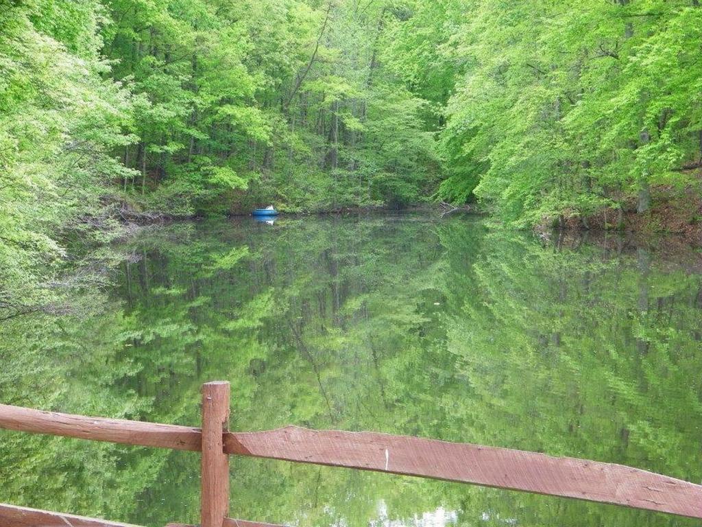 Lake Myers Lakeside Villa 16 Mocksville 外观 照片